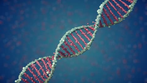 animación de la construcción del adn a partir de elementos. animación científica