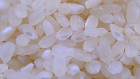 grains of raw rice rotate close-up