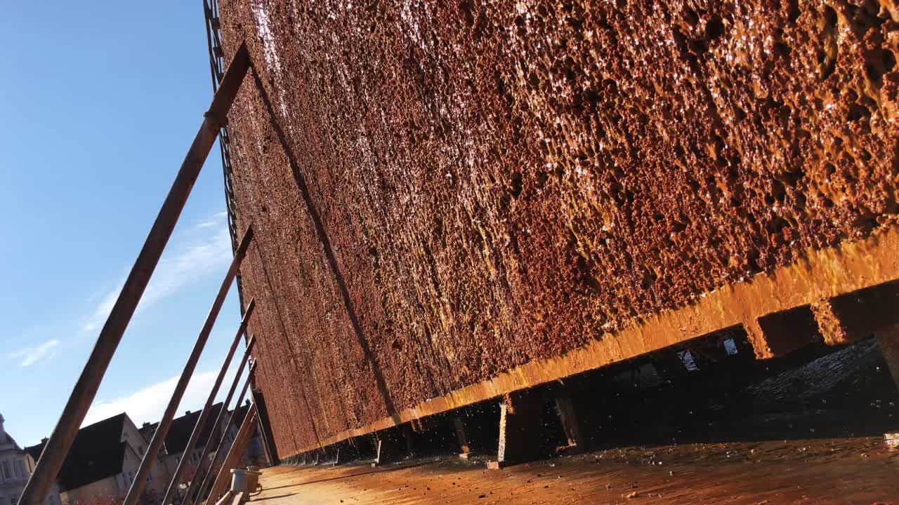 소금 추출용 식물 - 스파 정원 물 떨어지는