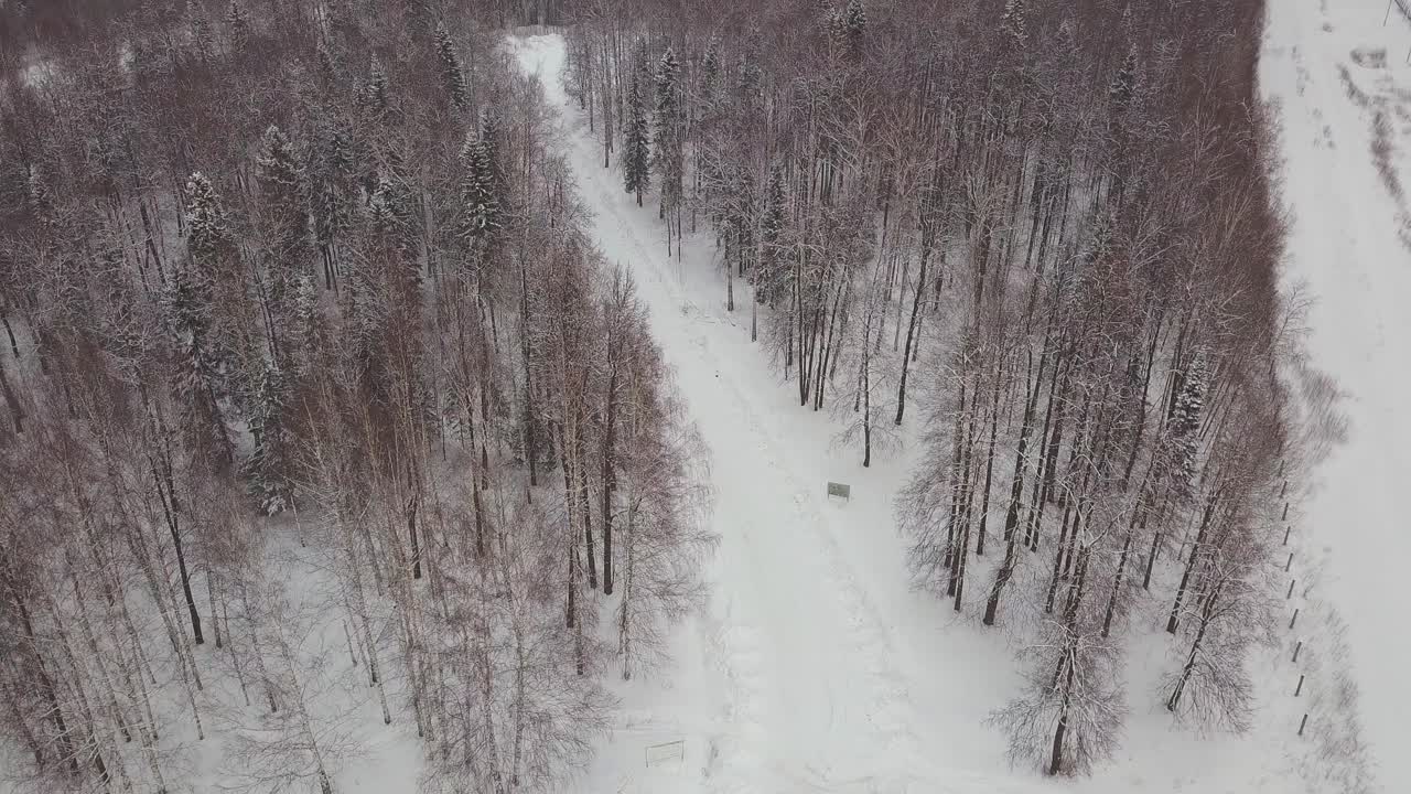 눈 인 숲 속 의 군용 차량