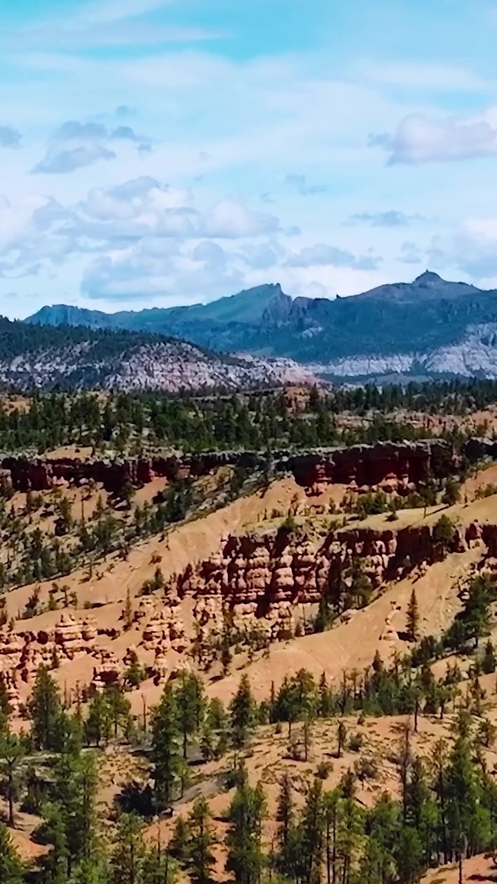 Vista panoramica del paesaggio desertico con montagne e alberi nel Mojave