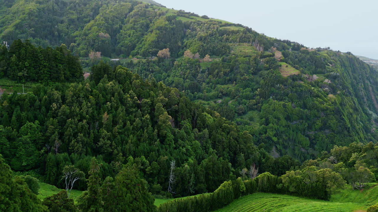 hermosa vista de drones de montaña del bosque. pintoresca escena del bosque en un día nublado.