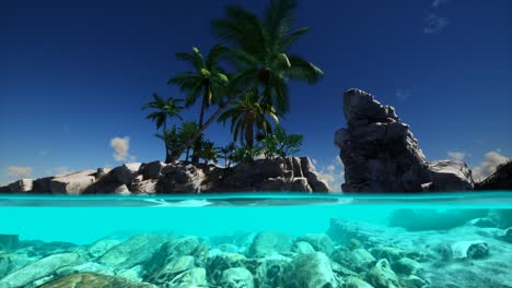 vista dividida de la sección transversal de agua de mar y palmeras en la isla