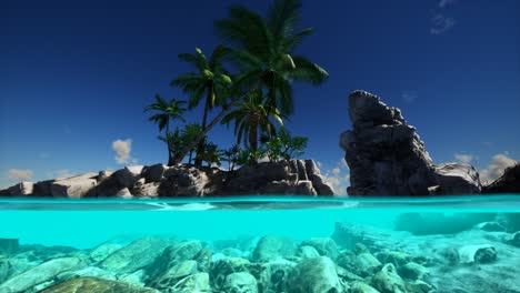 split view cross section of sea water and palm trees on island