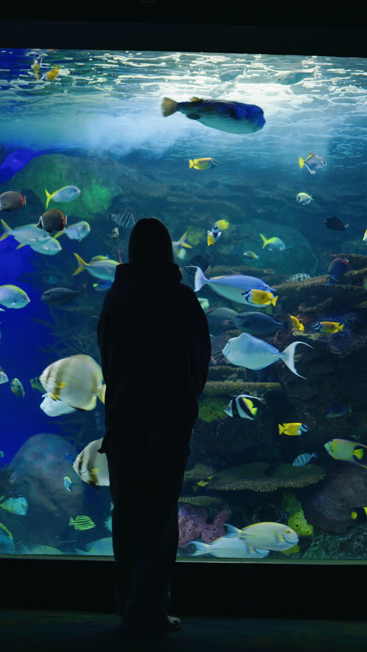 Person Watching Fish in an Aquarium