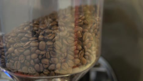 roasted coffee beans in a grinder