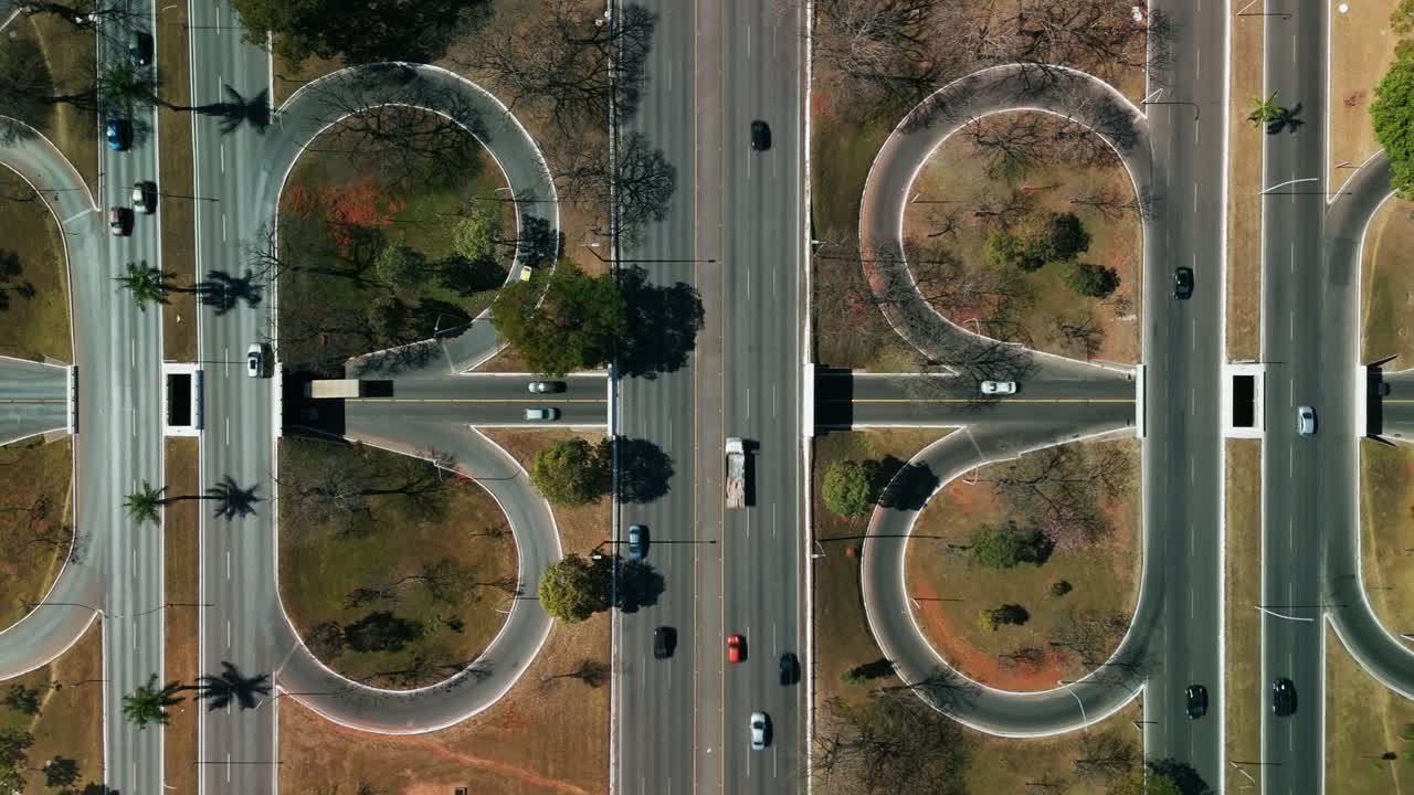 Brasilia little scissors in Brazil