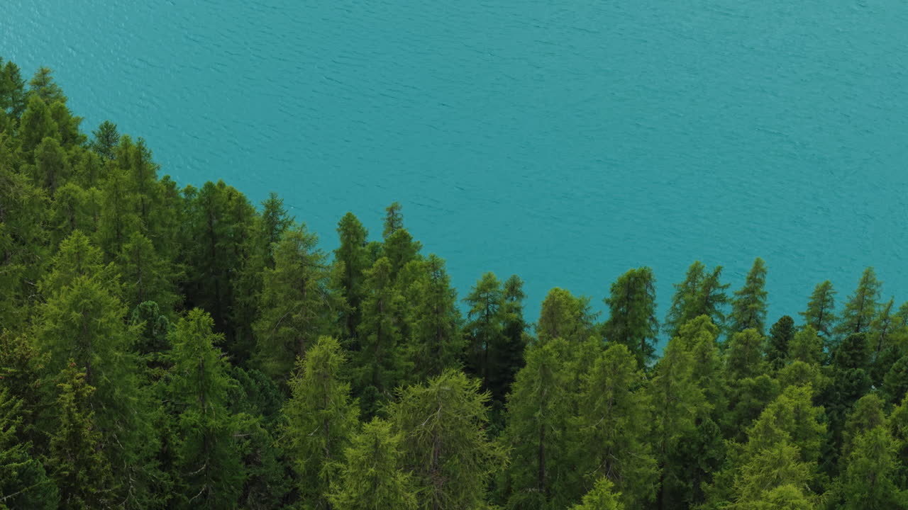 Forward drone shot with a tilt down moving over dense alpine trees toward a turquoise lake in Switzerland