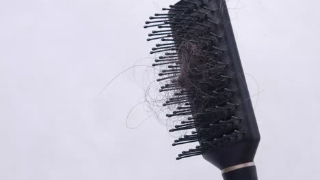 hairbrush with hair loss