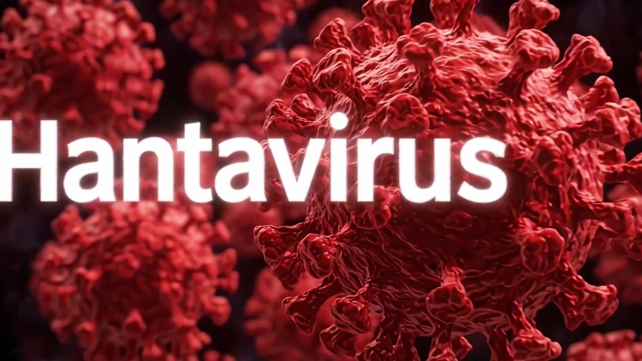 Visualização Detalhada do Hantavírus: Examinando a Estrutura e Características de Partículas Virais Sob Técnicas de Imagem Microscópica