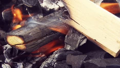 quemando troncos de madera para una barbacoa