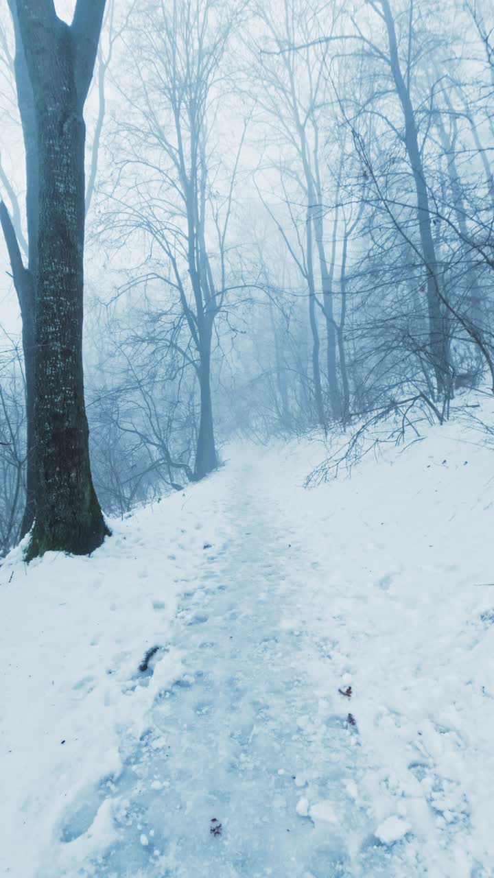 Ripresa verticale 9:16 POV di una passeggiata in una splendida foresta innevata. Paesaggio invernale suggestivo con alberi ricoperti di neve, ideale per storie sui social media e contenuti per dispositivi mobili.