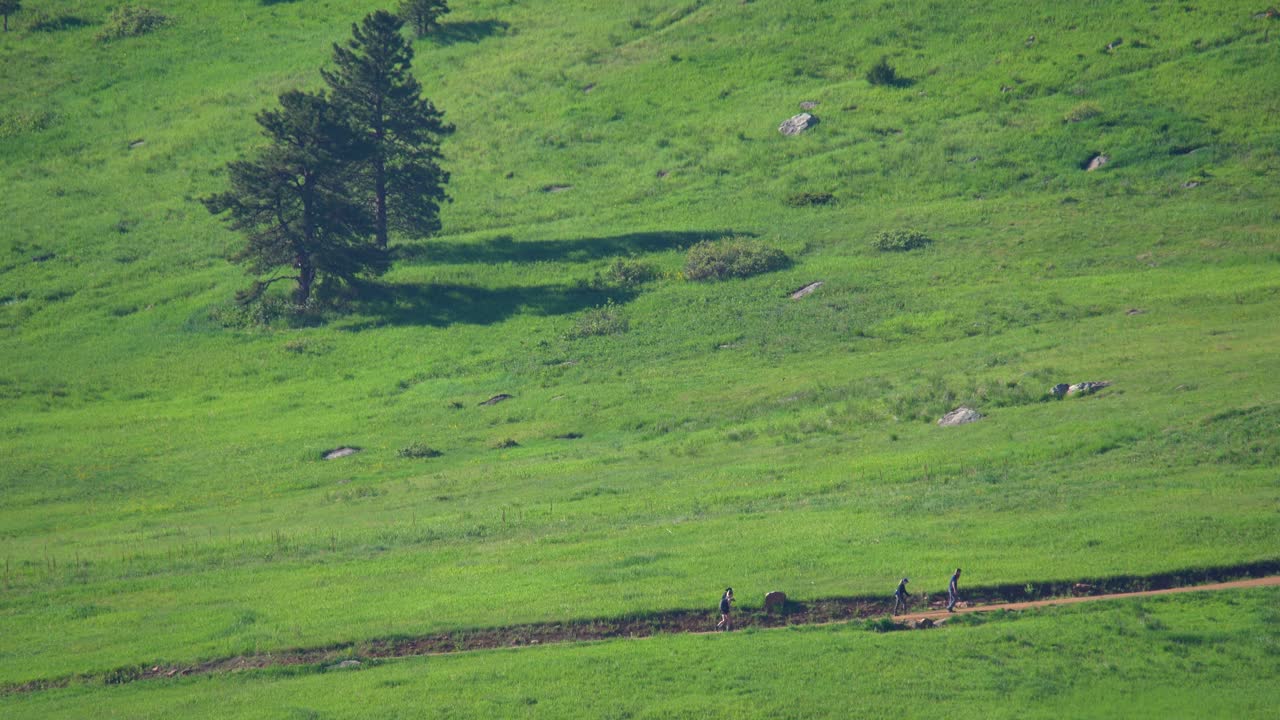 vista aérea de la pista de senderismo en primavera