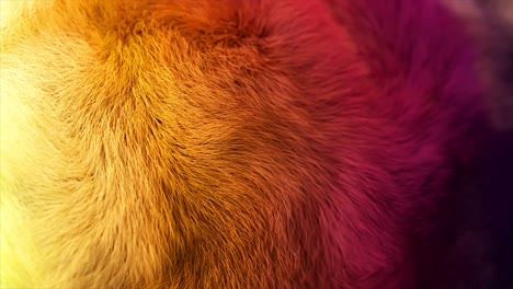 textura del pelaje en gradiente