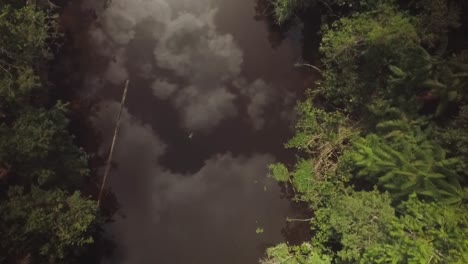 Overhead-view-of-a-river-in-the-Amazon-rainforest