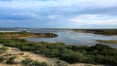 coastal bay and marsh ecosystem