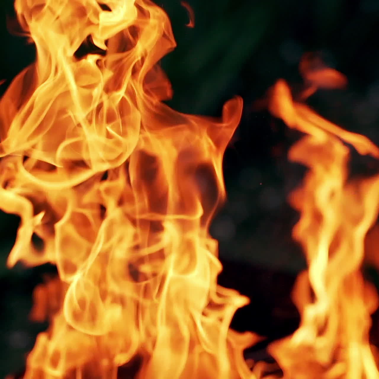 Beautiful bright flame on dark background. Romantic atmosphere of burning firewood at night. Orange flame outdoors.