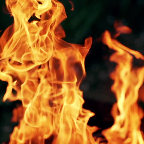 beautiful bright flame on dark background. romantic atmosphere of burning firewood at night. orange flame outdoors.