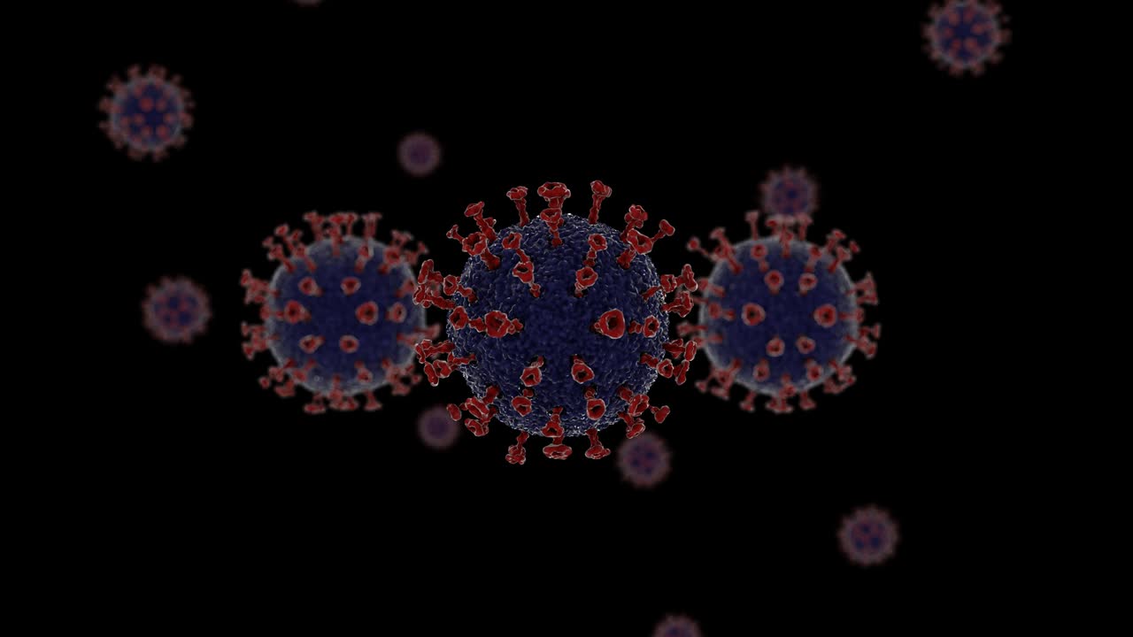 células de coronavirus animadas en 3d flotando con 3 células cercanas en el frente bajo microscopio electrónico con canal alfa y bucle