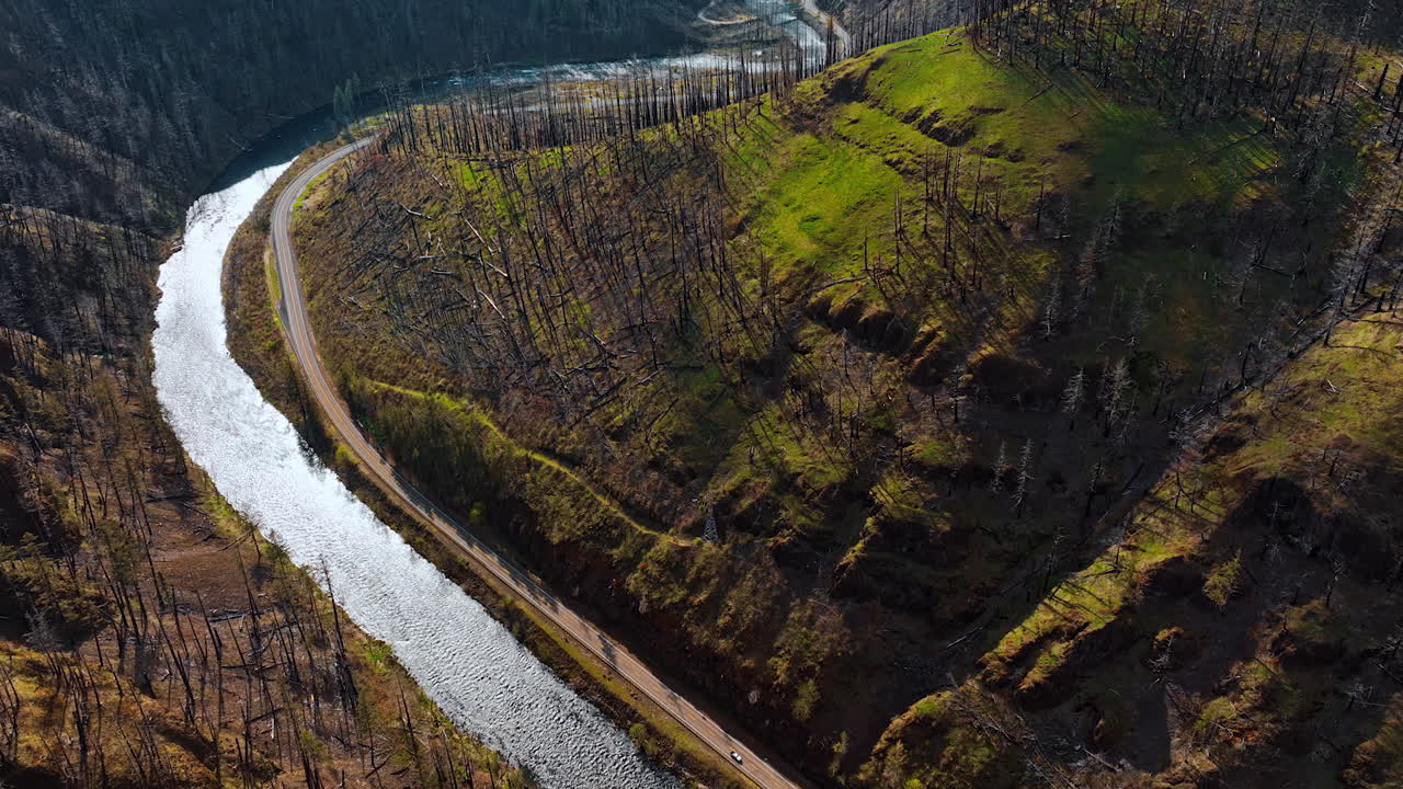 Descending over the narrow mountain flowing in the mountains. Dry pine trees cover the slopes of rocks. Aerial view.