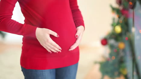 festive pregnant woman rubbing her belly