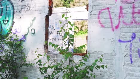 abandoned building with graffiti and overgrowth