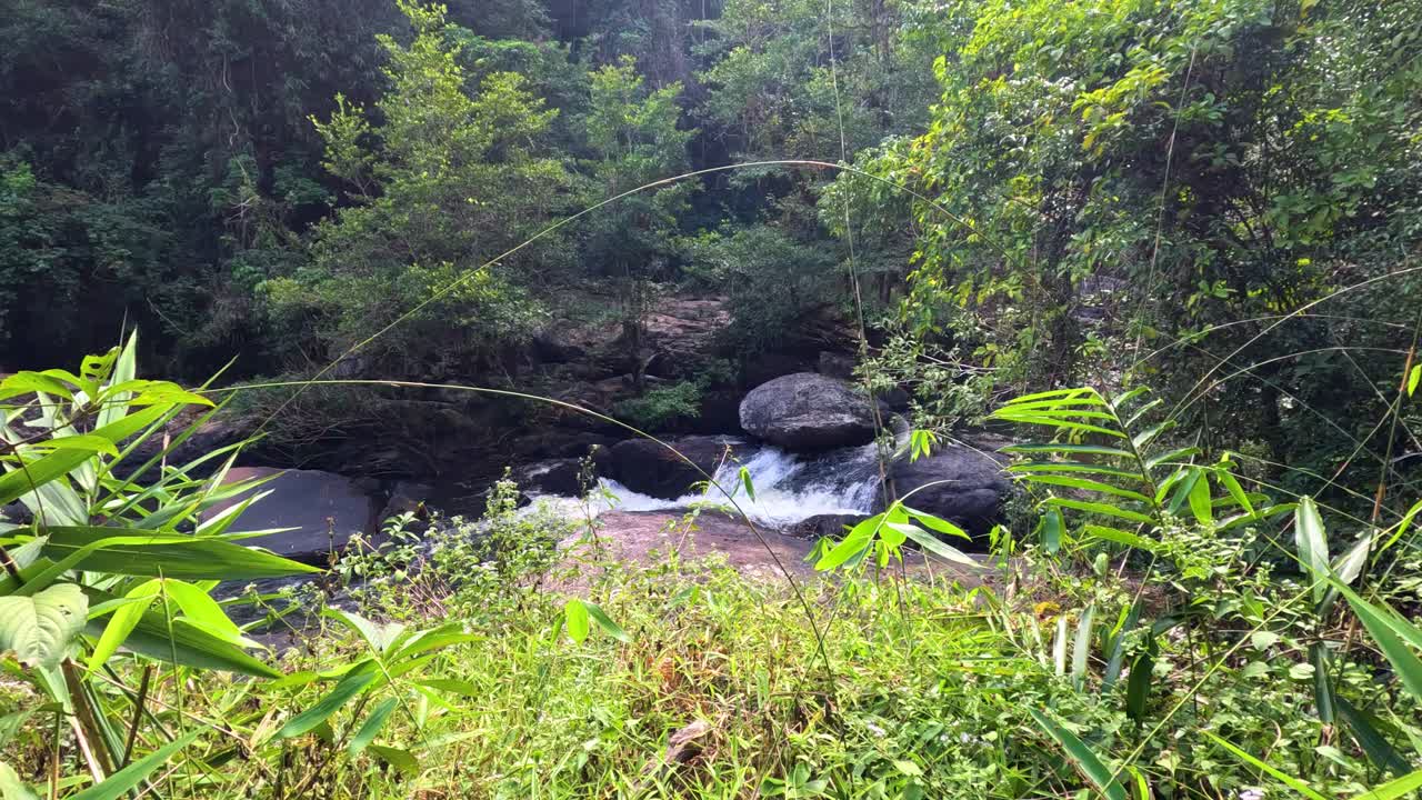 A tranquil waterfall amidst vibrant greenery