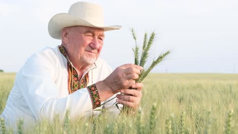 happy enthusiastic old farmer in embroidered coat holding young sprouts of wheat happy enthusiastic old farmer in embroidered coat holding young sprouts of wheat ukraine is the granary of europe farmer on the background of the blue sky