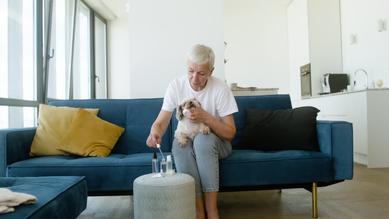 Dog in the lap of its owner at home