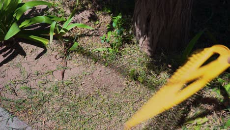 limpieza de hierba y hojas eliminadas en el jardín usando un rastrillo de hojas - disparo en ángulo alto