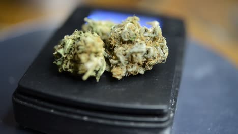 primer plano rotativo marihuana cogollos de malezas en básculas cultivadas orgánicamente