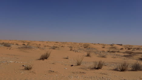 Vasto-Paisaje-Arenoso-Del-Desierto-De-Jebil-Bajo-El-Cielo-Azul-Claro,-Túnez