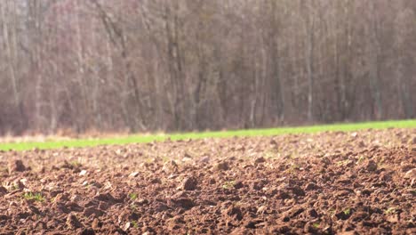 Low-angle-close-up-of-farmer-cultivate-dusty-agricultural-field-in-spring