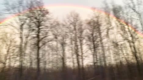 perfect rainbow in the sky visible through trees from a moving-driving car