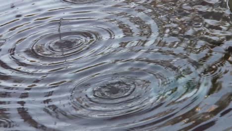 círculo de gotas de agua