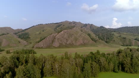 vista aérea de la cordillera con campos verdes y bosques