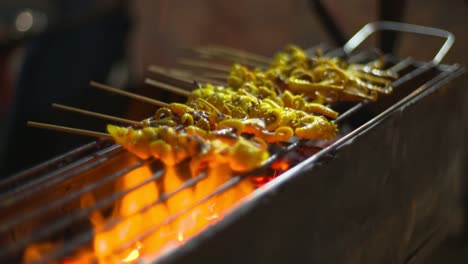 a man grilling fresh squid in a skewer and reversing it on a burning fire - close up shot