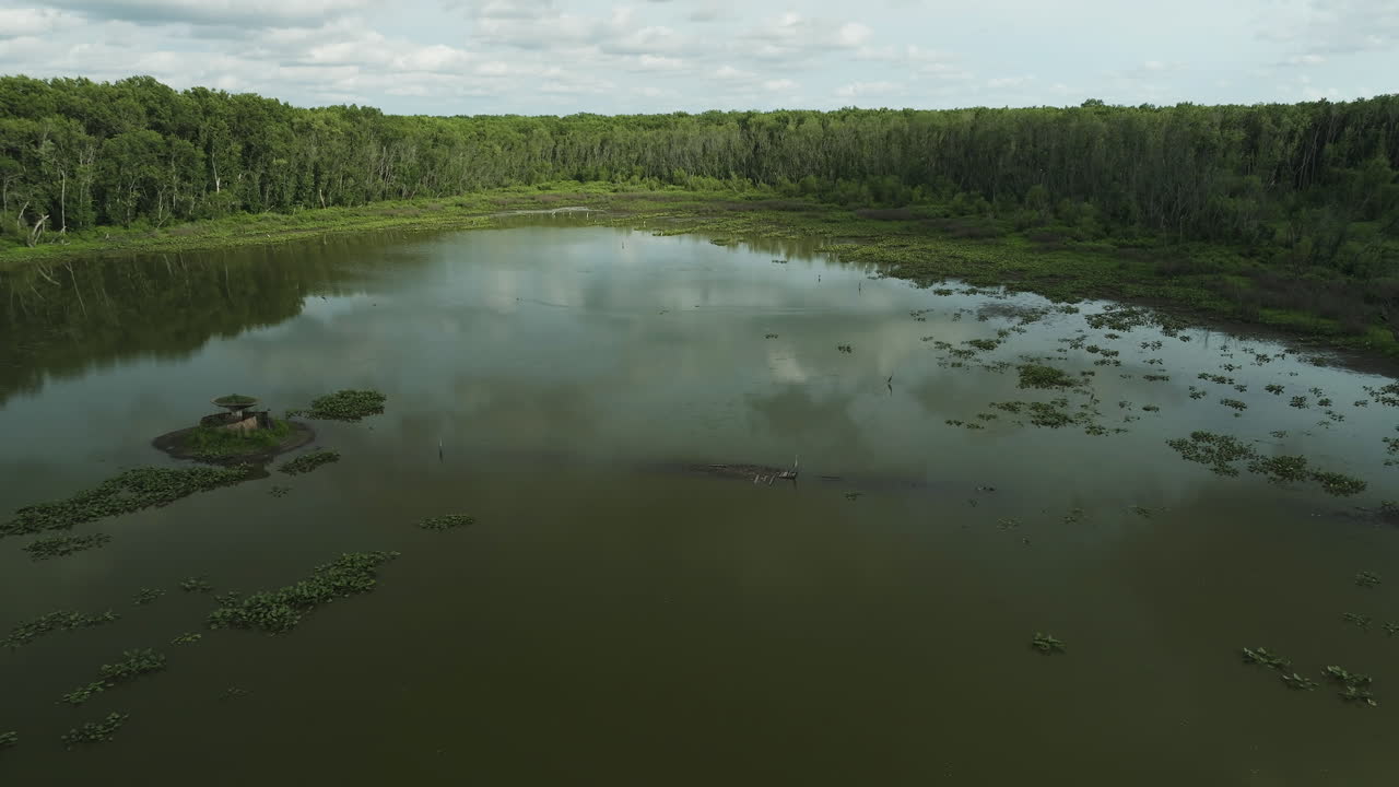 Ottimo rifugio per un'avventura nel weekend - l'incontaminato lago Spile nascosto nella foresta