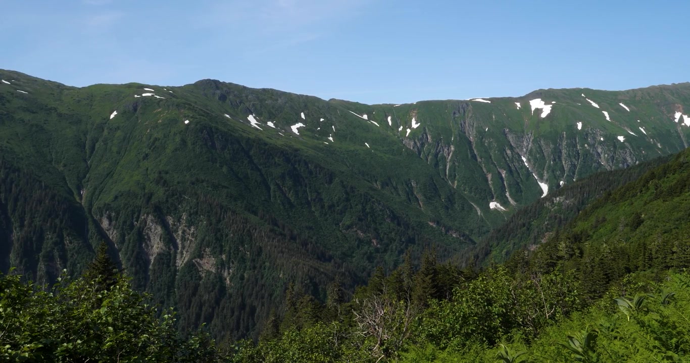 在一個美麗陽光的夏日，從羅伯茨山（Mount Roberts）眺望阿拉斯加州朱諾的朱諾山（Mount Juneau）。