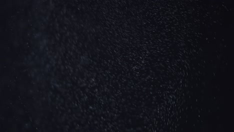 fondo negro de 4k de partículas, polvo y humo en movimiento