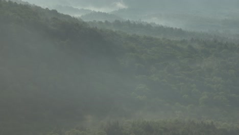 Dawn-over-mountainous-woodland-region-covered-in-fog