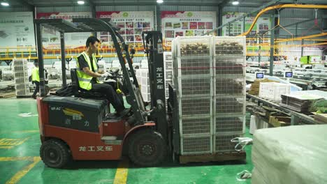 forklift operator moving crates in a factory warehouse