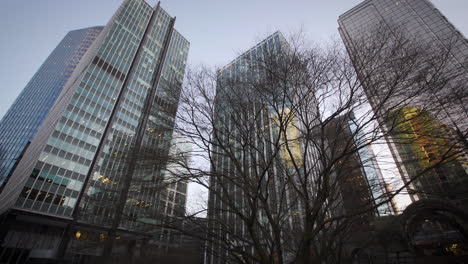 large office buildings surrounding a beautiful city park