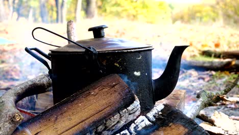 kettle on campfire at the forest