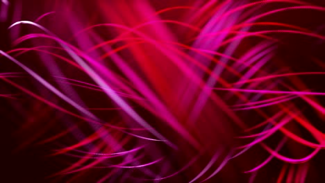 glowing curves lightbeams rippling on red background. endless loop video.