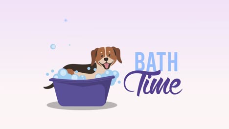 letras de hora de baño con mascotas en la bañera