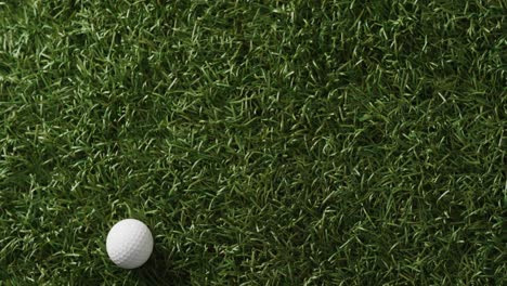 primer plano de una pelota de golf en el césped, espacio de copia, cámara lenta