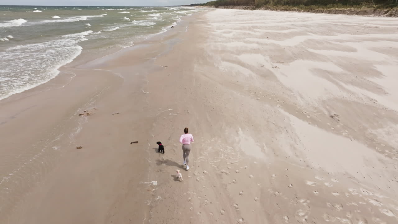 Aerial: woman running with two dogs on sand beach during the day, outdoor, tracking drone shot