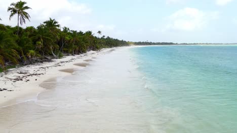 increíble costa de una playa desierta en la riviera maya