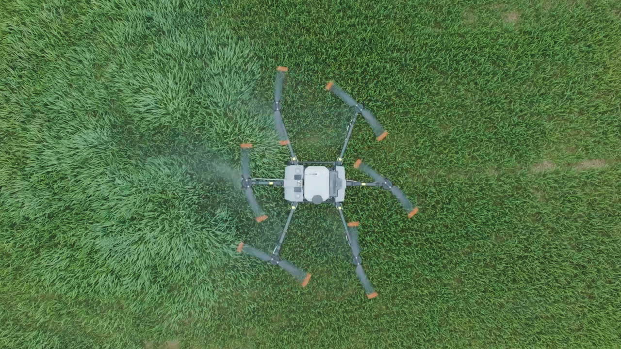 aviones no tripulados de agricultura volando y rociando fertilizante en tierras de cultivo verdes, vista aérea desde arriba